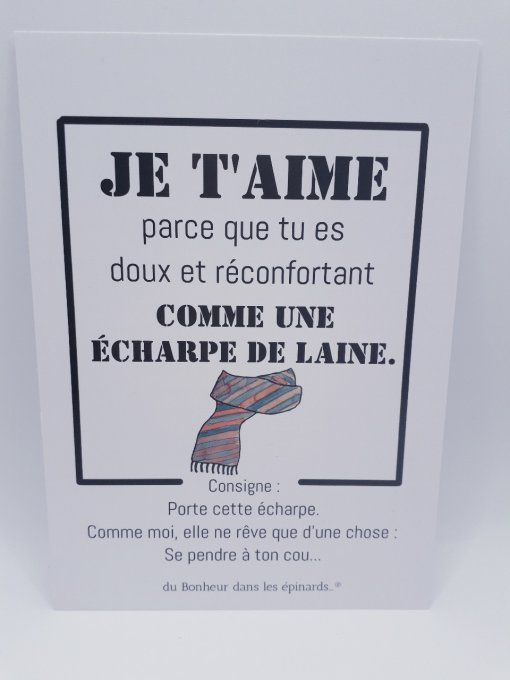 CARTE JE T'AIME PARCE QUE TU ES DOUX + 1 ECHARPE POUR LUI 