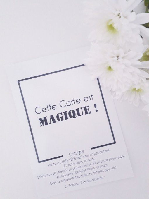 CARTE A PLANTER - MAITRE